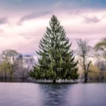 Evergreen vs. Evolving SEO How to Mix Both for a High-Authority Website