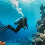 Ultimate Guide to Scuba Diving Santa Teresa, Costa Rica